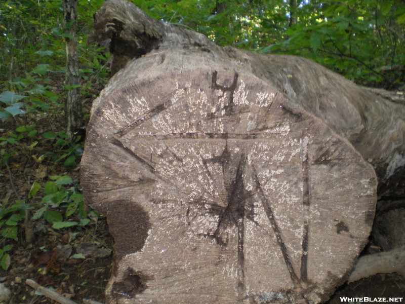 Springer To Neels Gap Hike