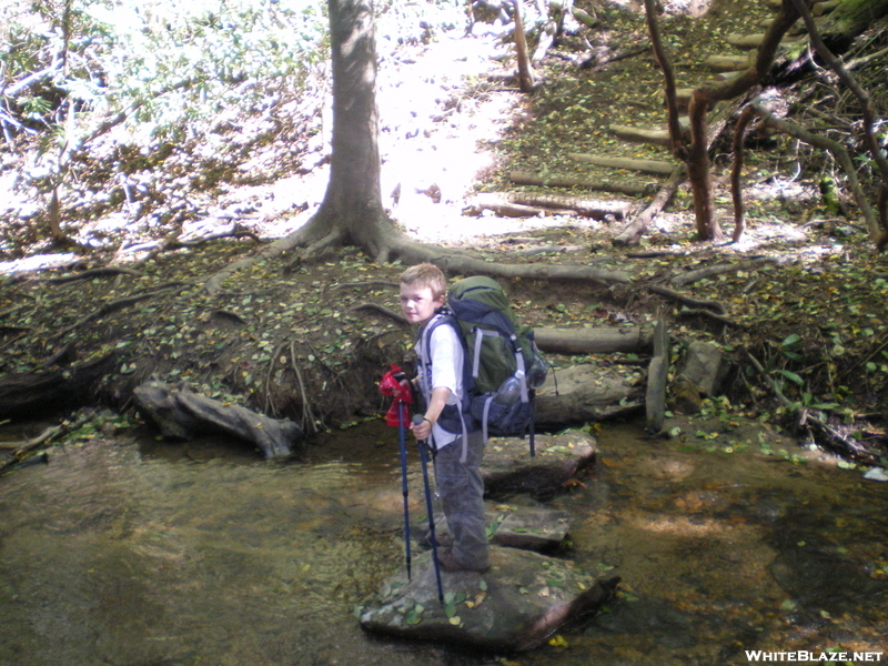 Springer To Neels Gap Hike