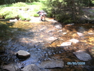 Dolly Sods,  Wv