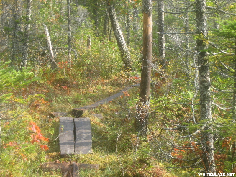 Maine 2010