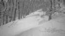 Too Many Drifts! by Deerleg in Trail & Blazes in Maryland & Pennsylvania