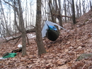 Camping Near Apple Orchard Mt by Deerleg in Trail & Blazes in Virginia & West Virginia