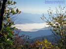 Morning hike by Deerleg in Trail & Blazes in North Carolina & Tennessee
