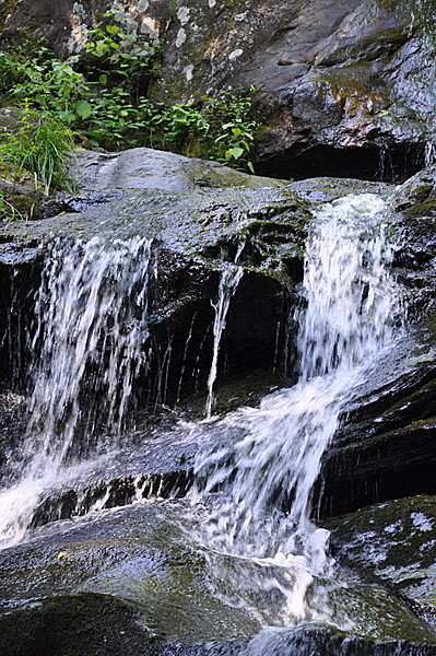 Shenandoah Summer 2011