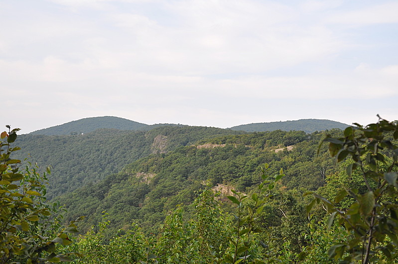 Shenandoah Summer 2011