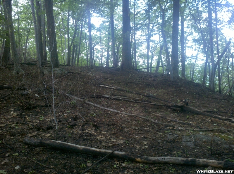 Forest Fire Damage - Salisbury, Ct May 2011 Fire, Taken 6/4/11