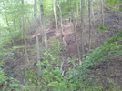 Forest Fire Damage - Salisbury, Ct May 2011 Fire, Taken 6/4/11