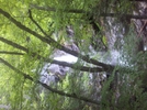 Race Brook Falls Loop Trail, Sheffield, Ma by Driver8 in Views in Massachusetts
