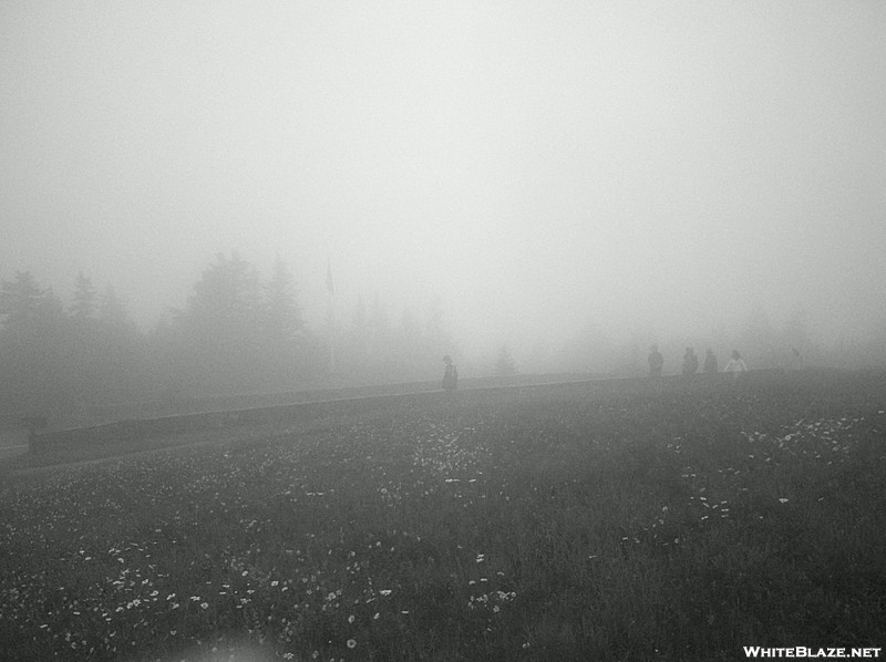 Foggy Mt. Greylock Summit, July 3, 2011