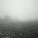 Foggy Mt. Greylock Summit, July 3, 2011