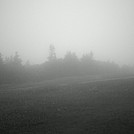 Foggy Mt. Greylock Summit, July 3, 2011