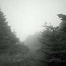 Foggy Mt. Greylock Summit, July 3, 2011