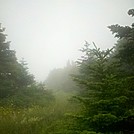 Foggy Mt. Greylock Summit, July 3, 2011