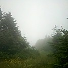 Foggy Mt. Greylock Summit, July 3, 2011