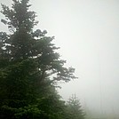 Foggy Mt. Greylock Summit, July 3, 2011 by Driver8 in Views in Massachusetts