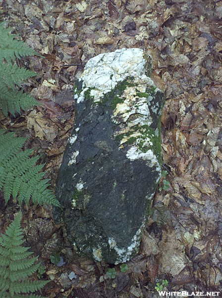 Schist and Marble Composite Rock with Moss, Stony Ledge, Greylock Reservation, Massachusetts, July 3
