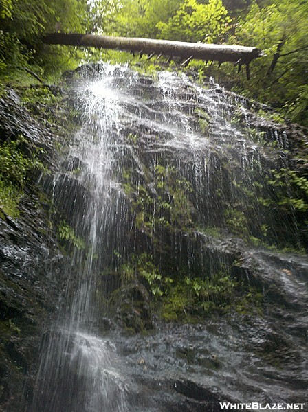 Falls at Deer Hill Trail, Mt. Greylock State Reservation, Massachusetts, July 3, 2011