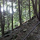 Deer Hill Trail, Mt. Greylock State Reservation, Massachusetts, July 3, 2011 by Driver8 in Views in Massachusetts