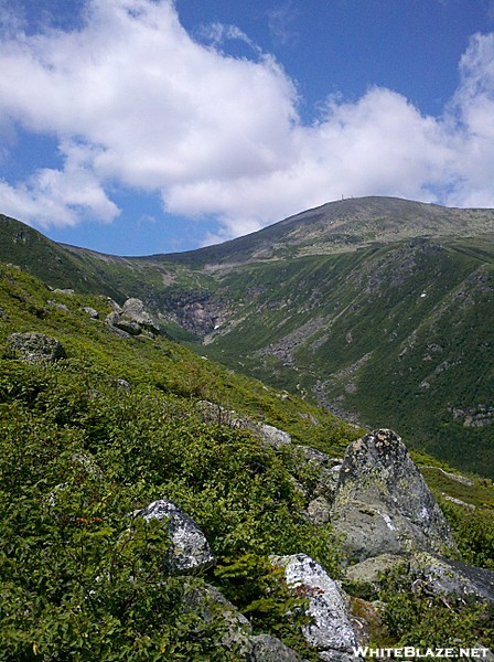 Tuckerman Ravine and Mt. Washington from Boott Spur Trail Just Above Tree-line