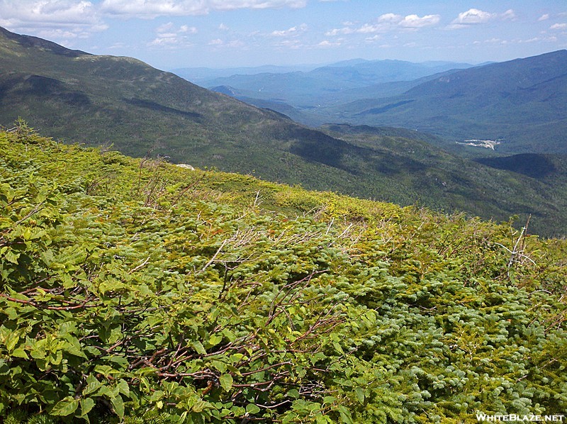 Mahoosucs and Maine from Boott Spur Trail