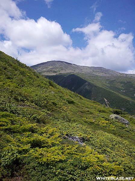 Mt. Washington and Lion Head Across Tuckermans from Boott Spur Trail