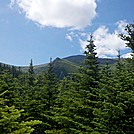 Lion Head from Boott Spur Trail Just Below Alpine Zone