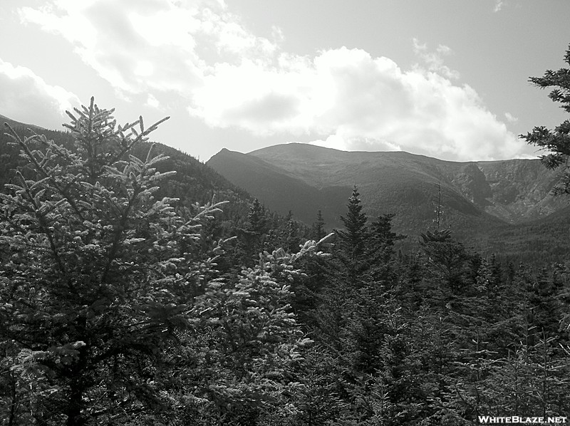 Mt. Washington and Lion Head from Lowest Boott Spur Trail Overlook