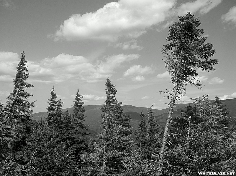 Carter Range from Lower Boott Spur Trail Viewpoint