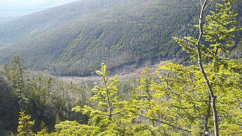 Slide-Scarred North Wall and Base of Ammo Ravine from Trail Above