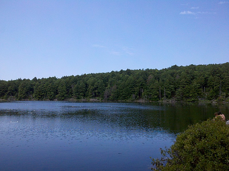 Guilder Pond from Eastern Shore, July 14, 2012
