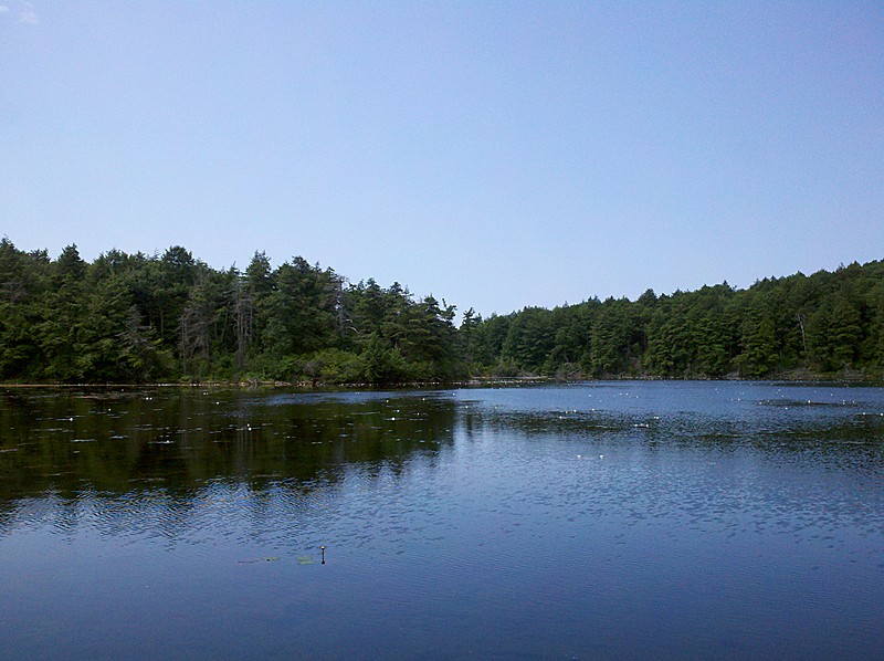 Guilder Pond from Eastern Shore, July 14, 2012