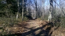 Northwest Road, Near Bear Mountain And CT/Mass State Line