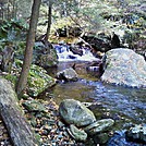 Sages Ravine by xokie in Section Hikers