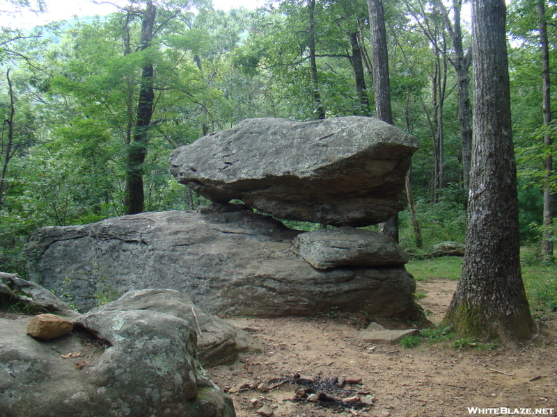 Springer Mtn To Neels Gap