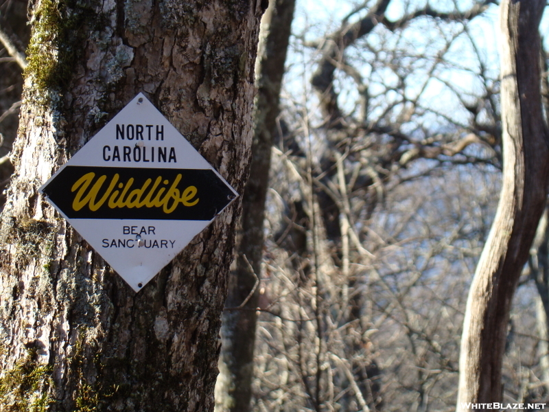 At Section Of Dicks Creek To Winding Stair Gap