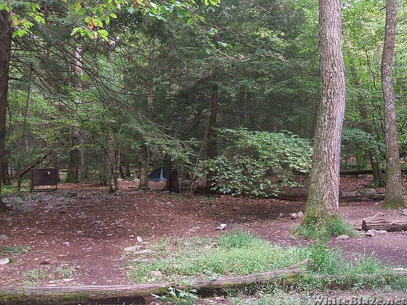 My tent near Brink Rd. Shelter