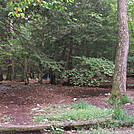 My tent near Brink Rd. Shelter by moose717 in Section Hikers