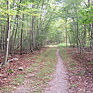 Trail before before Blue Mountains Lake Rd