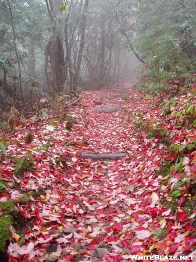 Autumn in the Smokies