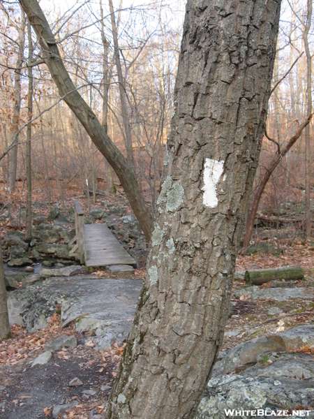 Camp Mohican To Sunfish Pond