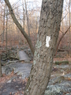 Camp Mohican To Sunfish Pond by jerseydave in Members gallery