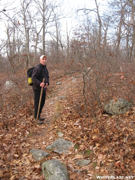 Camp Mohican To Sunfish Pond