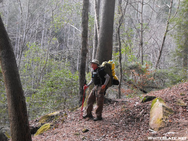 Sipsey Wilderness Overnight