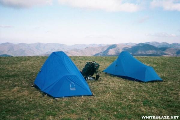 Max Patch Summit campsite