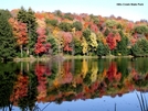 Pine Creek Gorge, Pa by Lobo in Other Trails