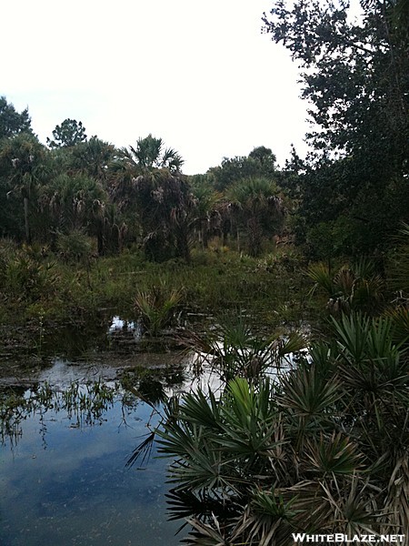 Bull Creek