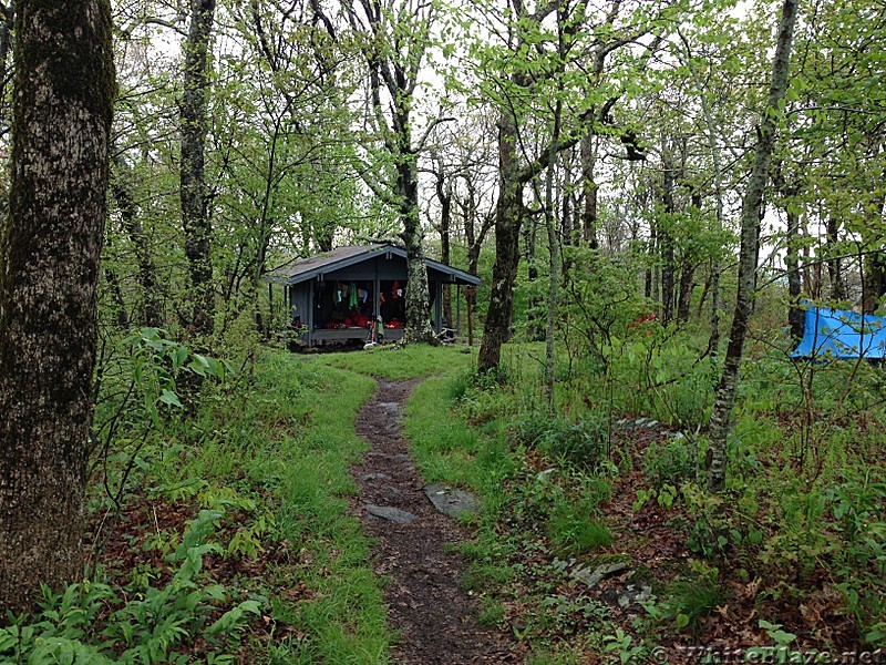 Tray Mountain Shelter