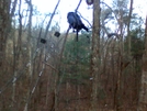 Black Gap Shelter by jtken in Approach Trail