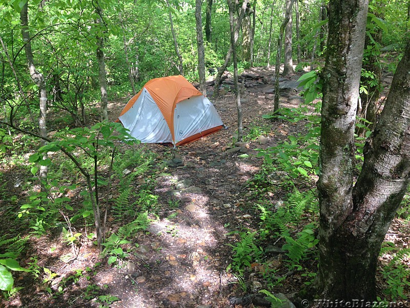 Camping on Springer Mtn