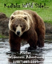 Kodiak Brown Bears
